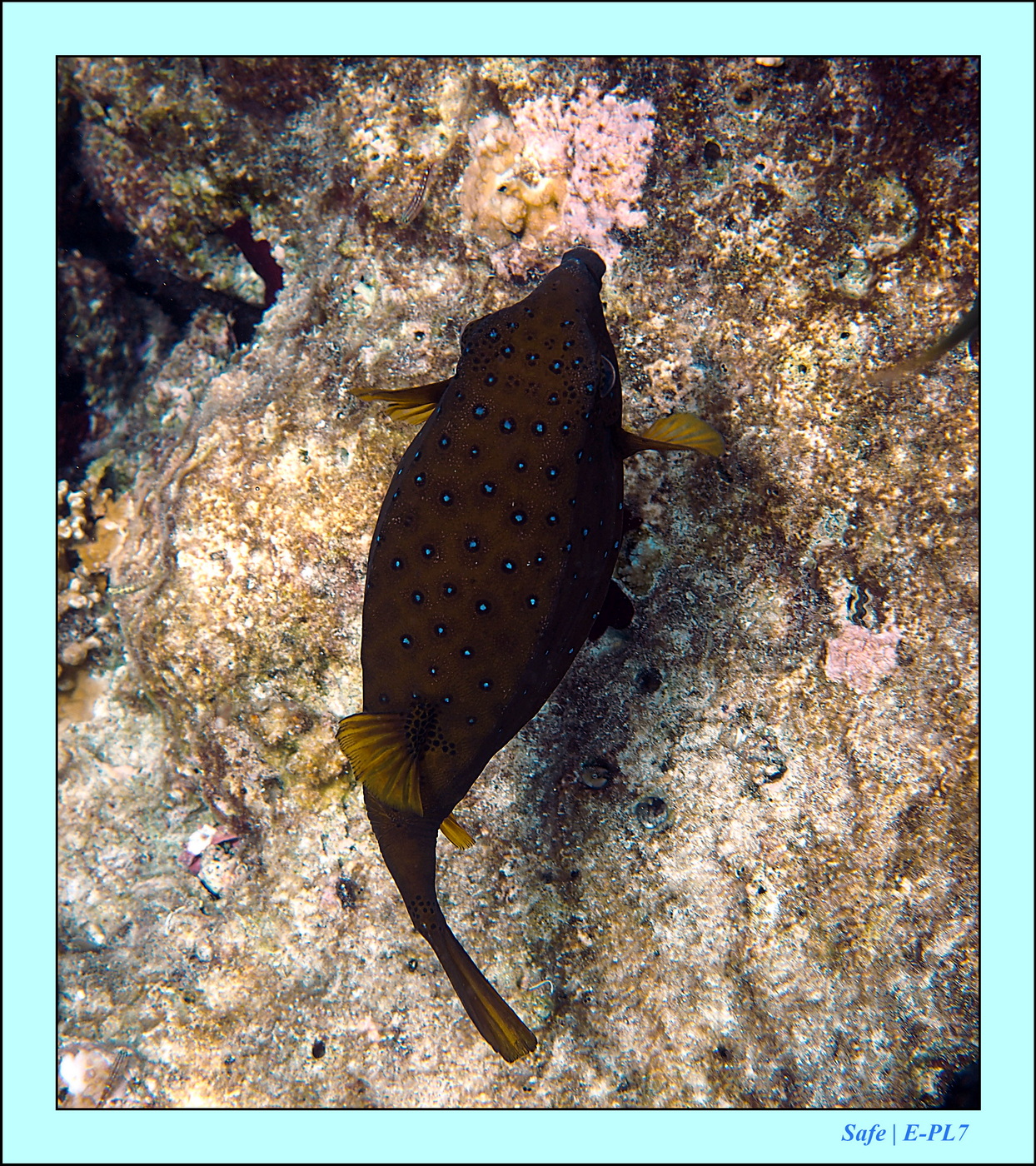 2023 - 07 - Sandies Bathala - 188